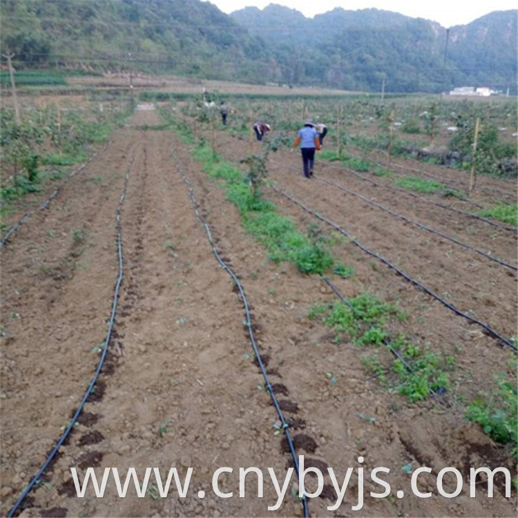 Drip Irrigation 90